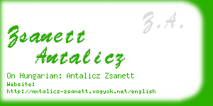 zsanett antalicz business card
